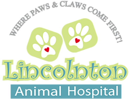 Lincolnton Animal Hospital Logo